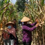 FB_IMG_1640339601283