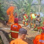 FB_IMG_1750681031219